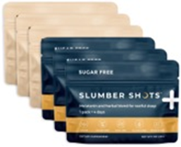 Night & Day Box | 12-Pack